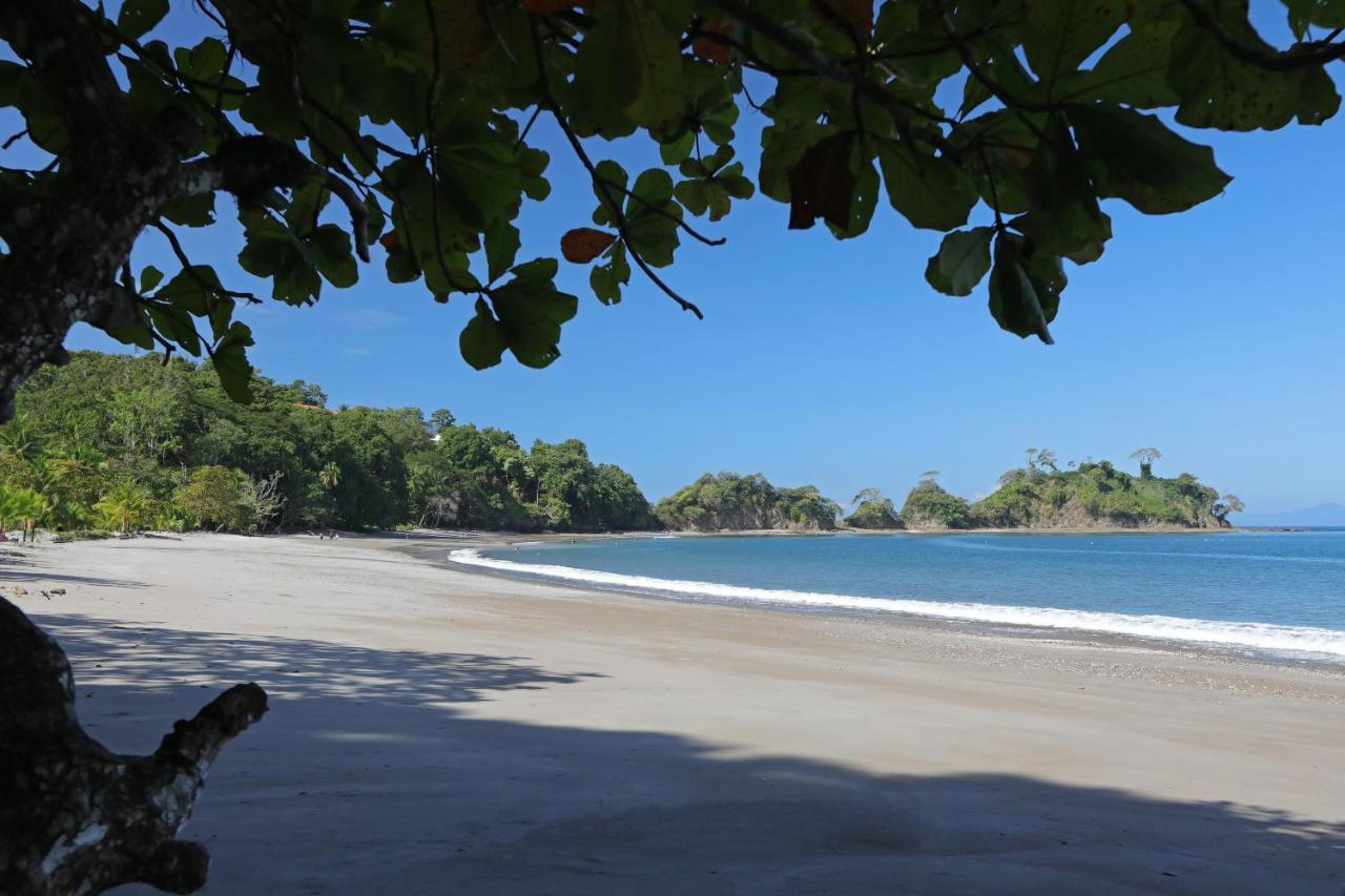 Hotel Punta Leona Jacó Eksteriør bilde